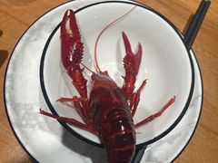 -0574龙虾的故事(东裕店)