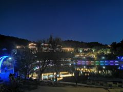 -铁山坪森林公园