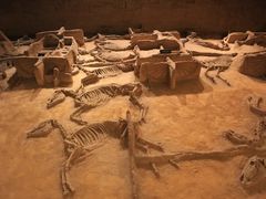 -洛阳周王城天子驾六博物馆