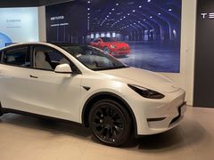 -TESLA 特斯拉(上海太古汇体验店)