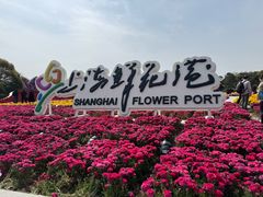 -上海鲜花港