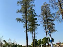 -汉江湾体育公园