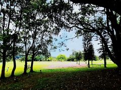 -福建鲤鱼洲酒店