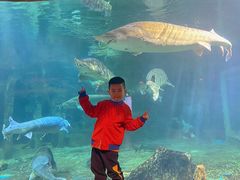 -华夏文旅海洋公园