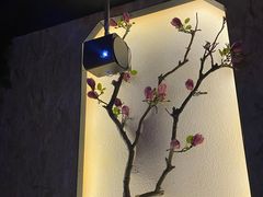 -君悦会影院足道·SPA•推拿(江桥店)