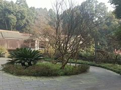 -都江堰普照寺