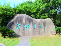 -荷塘月色湿地公园·向阳花洲