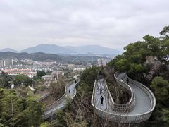 -福道