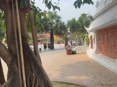 -西双版纳傣族园-曼春满佛寺