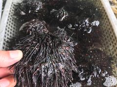 -常家活海鲜小吃(仅一家无分店)