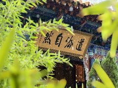 -真庆观