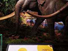 -湖南省地质博物馆