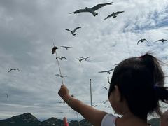 -海驴岛(荣成市)
