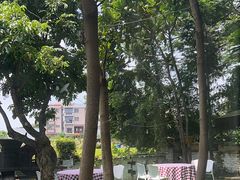 -陶缘一号·四季缘·老字号顺德菜·户外婚礼家宴(西滘店)