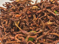 -真定郝家排骨(正定县总店)