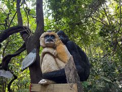 -海南霸王岭国家森林公园