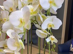 -瑞尔齿科(颐堤港诊所)