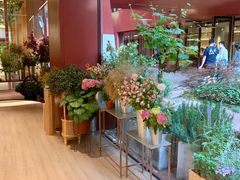 -二酉书店TOYOU BOOKS