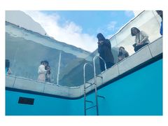 -金泽21世纪美术馆