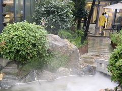 -蘇河湾·新鲁菜·泰山宴(泰山店)