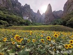 -神农山景区