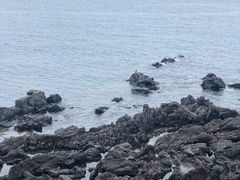 -龙头岩(Dragon Head Rock)