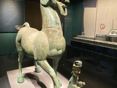 -广西壮族自治区博物馆