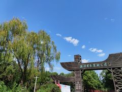 -溱湖国家湿地公园