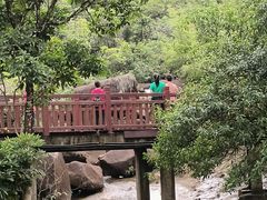 -广州白江湖森林公园