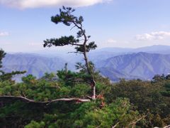 -牛背梁国家森林公园