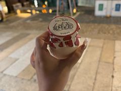-狐狸家·酸奶酪专门店(平江路店)