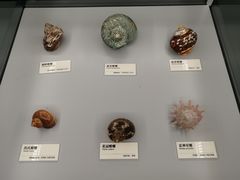 -天津古林古海岸遗迹博物馆