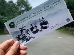 -都江堰中华大熊猫苑