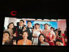 -枫花园汽车电影院(朝阳公园店)