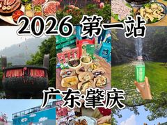 -鼎香皇高佬苏裹蒸粽