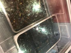 -鸿运兔·手撕烤兔(天府广场店)