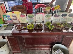 -马陆小张葡萄园农家乐