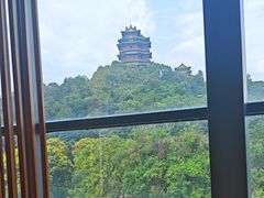 -七欣天香辣蟹火锅(南京建宁路大观天地店)