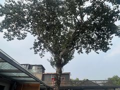 -五道营胡同