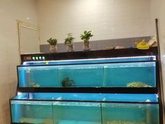 -后宫私房菜(汇客美食娱乐广场店)