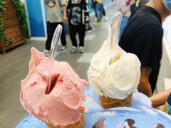 -野人先生现做冰淇淋(西安赛格店)