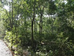 -新江湾城公园