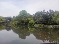 -西湖外事游船(花港观鱼码头)