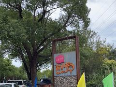 -前小桔亲子创意农场·草莓采摘·露营烧烤