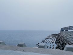 -东堤公园