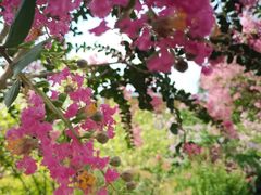 -杭州城北体育公园