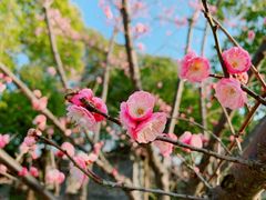 -广富林郊野公园