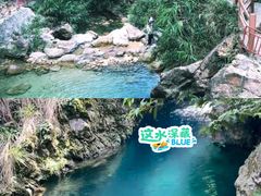 -南海湾森林生态园