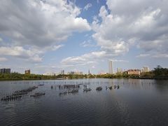 -成都南湖公园