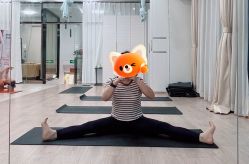 -一伽瑜伽·普拉提